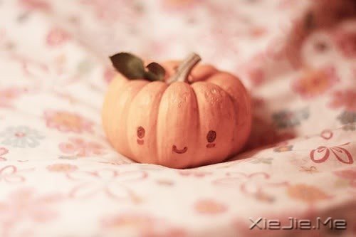 时间，能给出一切答案